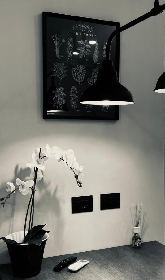 Ferienwohnung La Tana Del Ludo Baveno Exterior foto